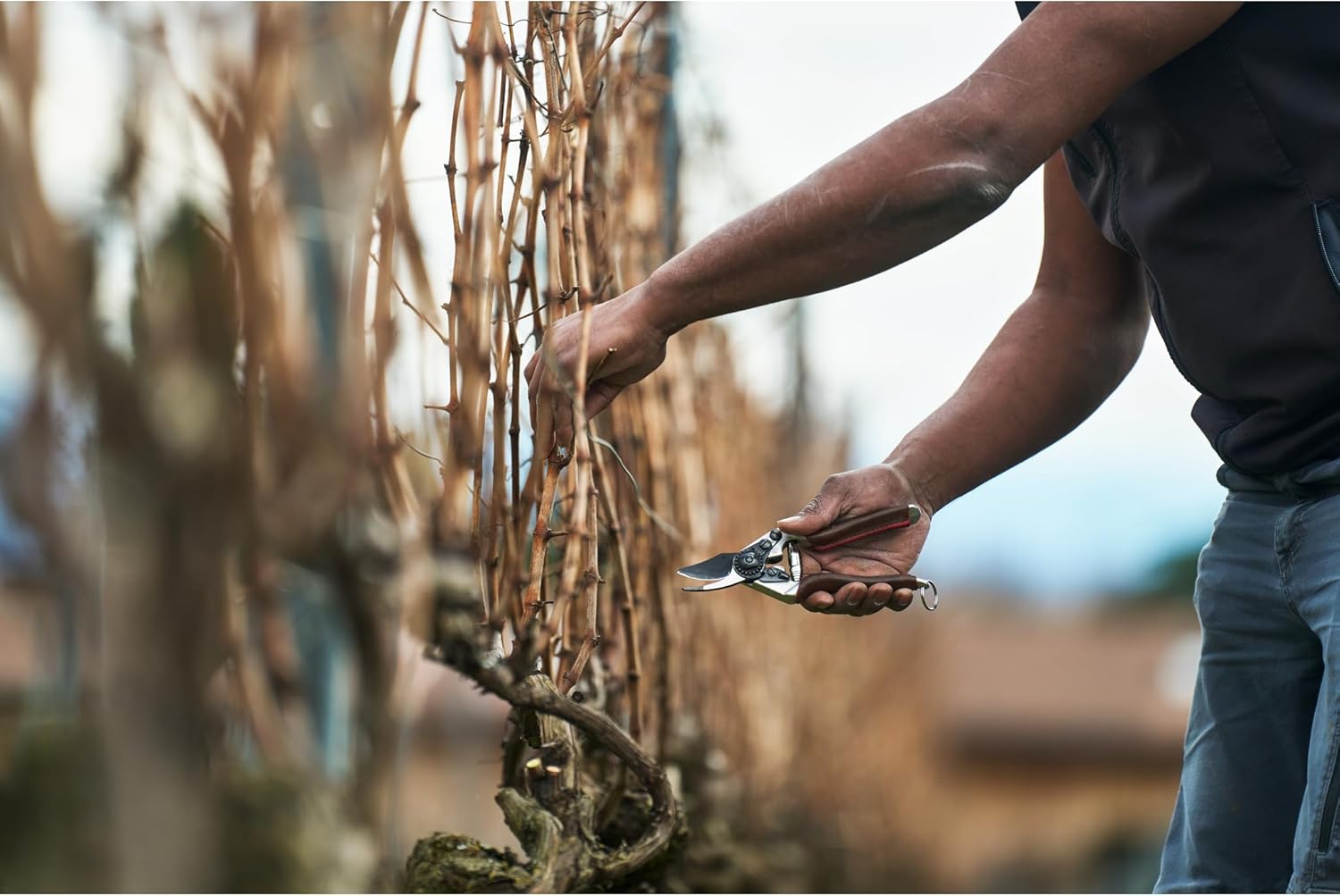 FELCO 6 ELITE Pruning Shears – 7.7" Swiss-Made Garden Clippers with Leather-Wrapped Handle for Medium Right Hands | Hand Pruners for Gardening | Garden Tool Cutter with Bypass Blade, Aluminum Body