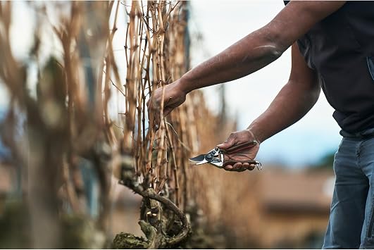 FELCO 6 ELITE Pruning Shears - 7.7 inch Swiss Made Garden Shears with Leather Wrapped Handle for Middle Right Hands | Hand Pruners for Garden | Garden Tool Cutter with Bypass Blade, Aluminum Body