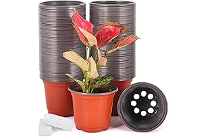JERIA 100 Pack of 4-Inch Plastic Potting Cups