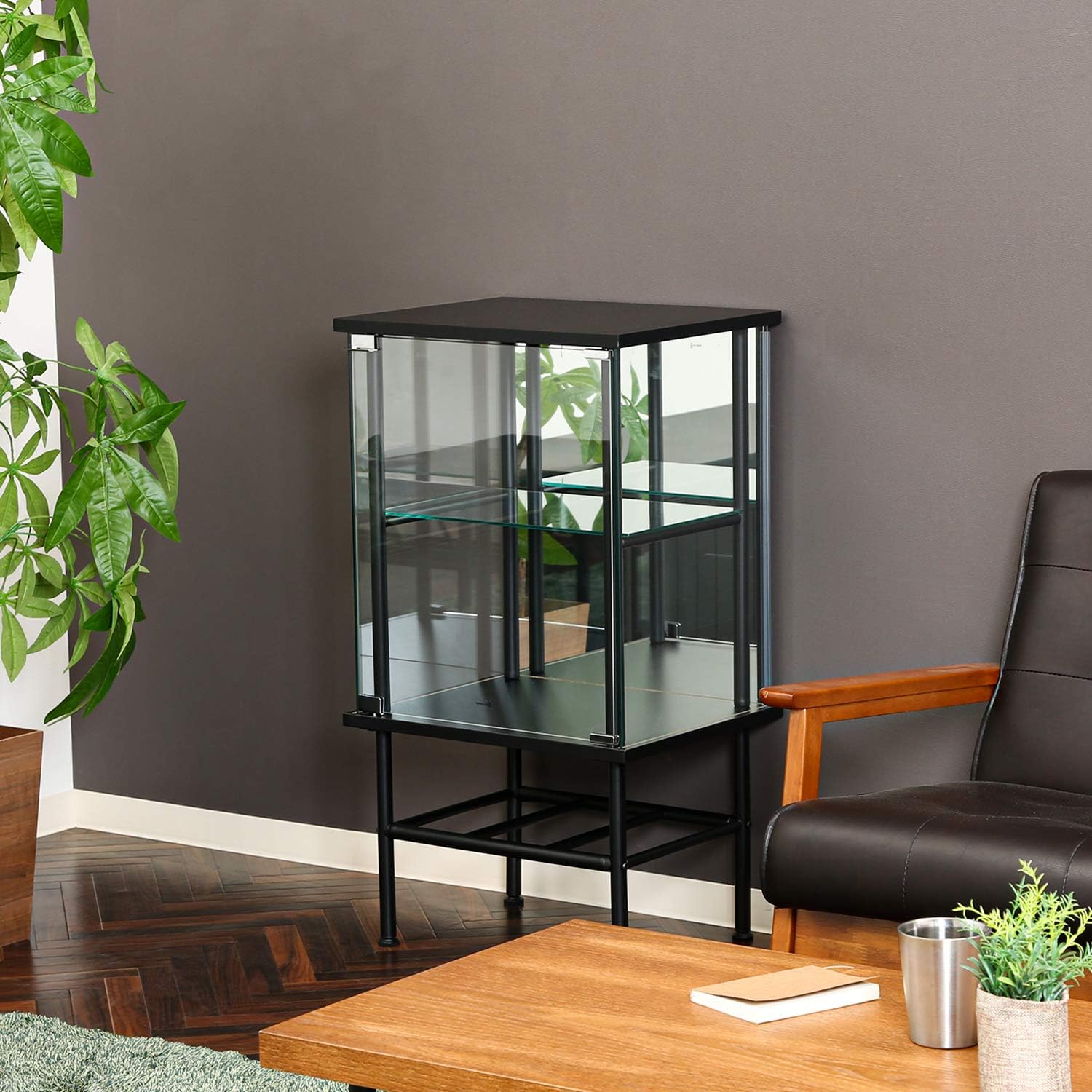 Legras 99498 Collection Case, Figure Case, 2 Tiers, Width 19.1 x Depth 15.2 x Height 35.0 inches (48.6 x 38.2 x 88.8 cm), Black, Rear Mirror Stand