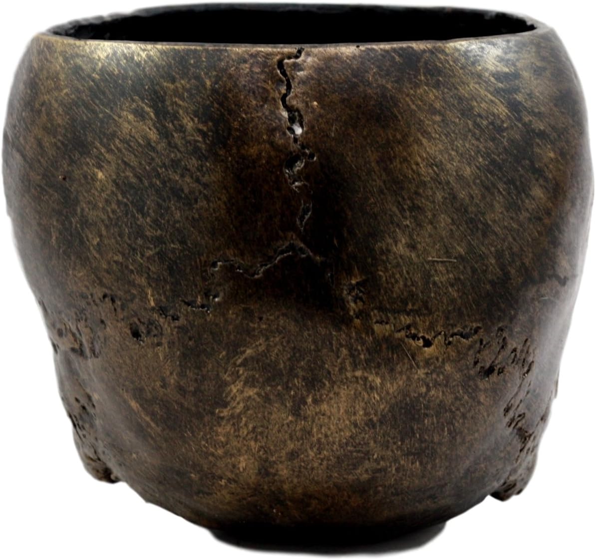 Ebros Gift Bronzed Day of The Dead Skull Bowl Figurine 7" Long Skeleton Head Gardening Planter Sculptural Vessel Treat Container Decorative Bowl