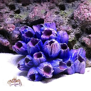 Danmu 1Pc of Polyresin Coral Ornaments, Aquarium Coral Decor for Fish Tank Aquarium Decoration 3 7/10