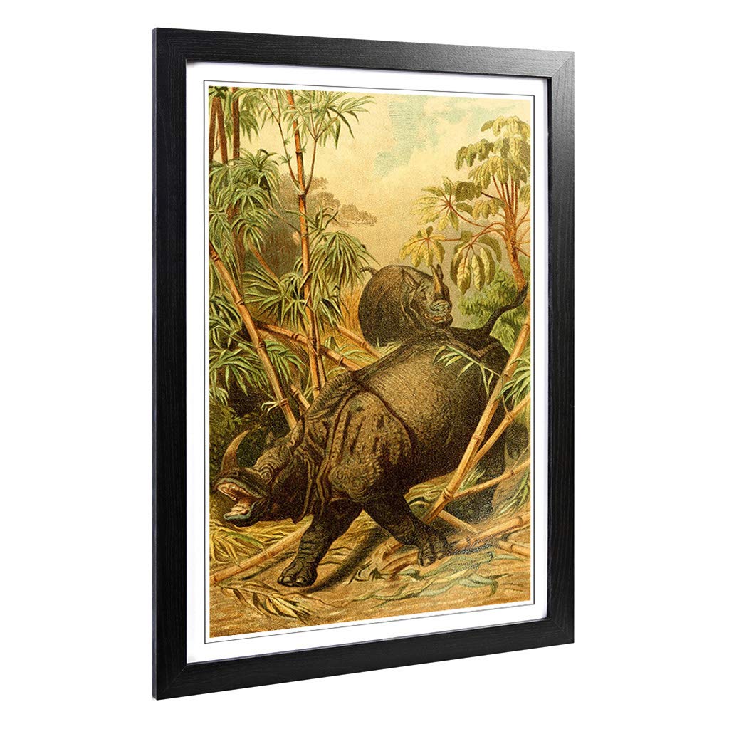 Big Box Art Framed Print of Vintage Brehms Tierlben Rhinocerous Design | Wall Art Picture | Home Decor for Kitchen, Living Room, Bedroom, Hallway, Black, A2 / 24.5x18 Inch / 62x45cm