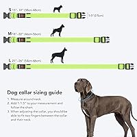 Vista 4 de Weesiber Collares de perro con luces LED recargables, luces reflectantes ajustables para perros para caminar por la noche (verde, S)