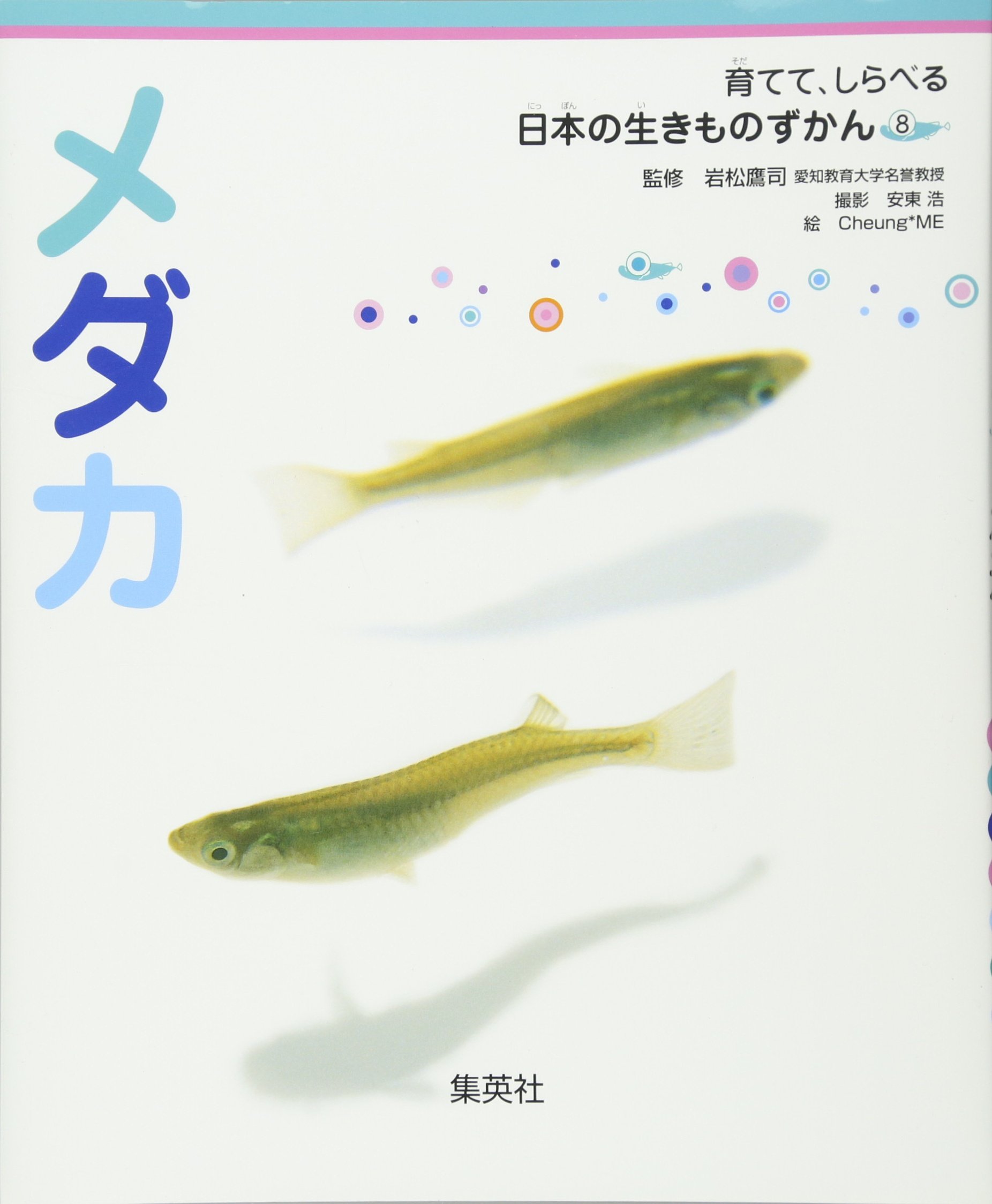 718eK7hl8bL.jpg
