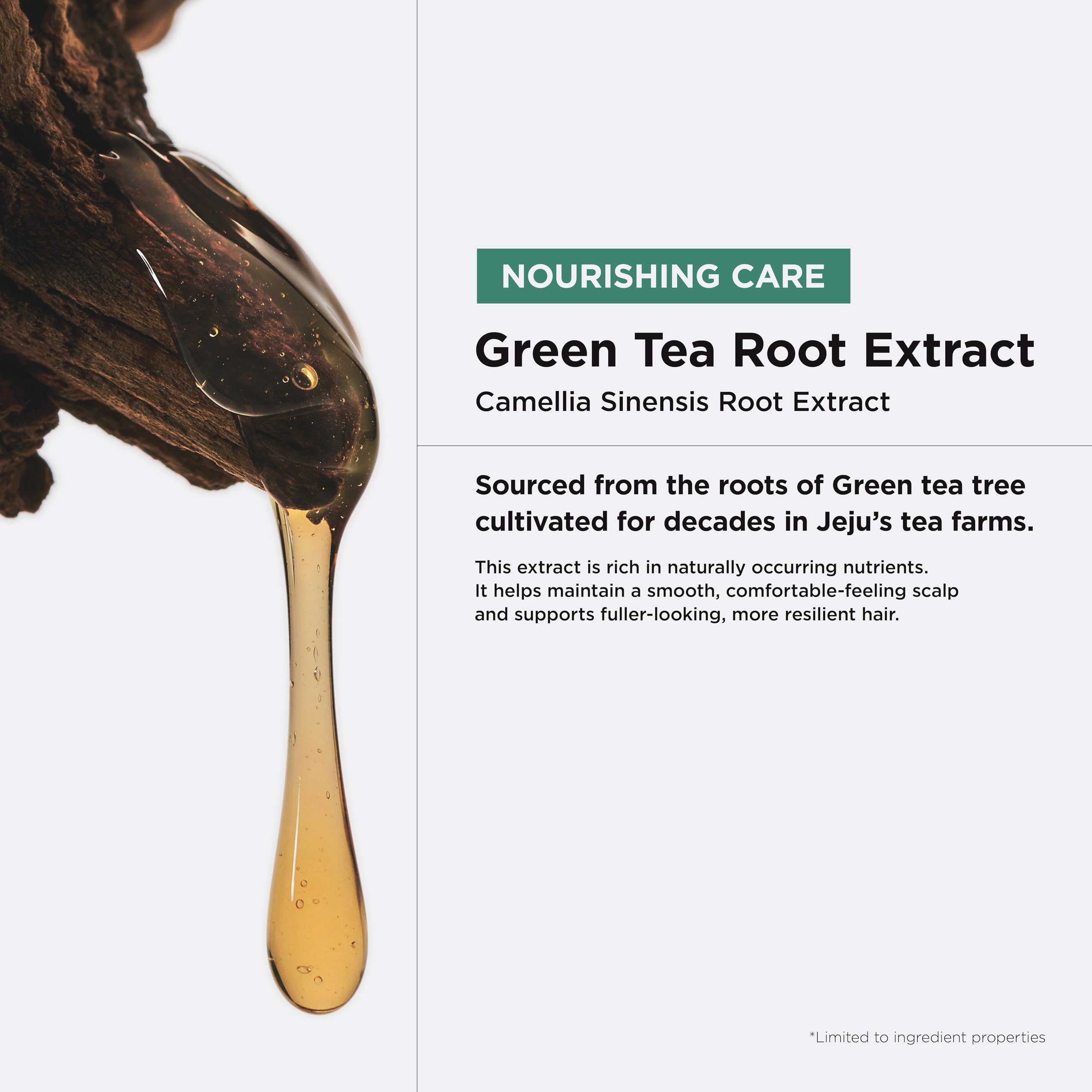 AMOS PROFESSIONAL Green Tea Active Shampoo for Thinning Hair