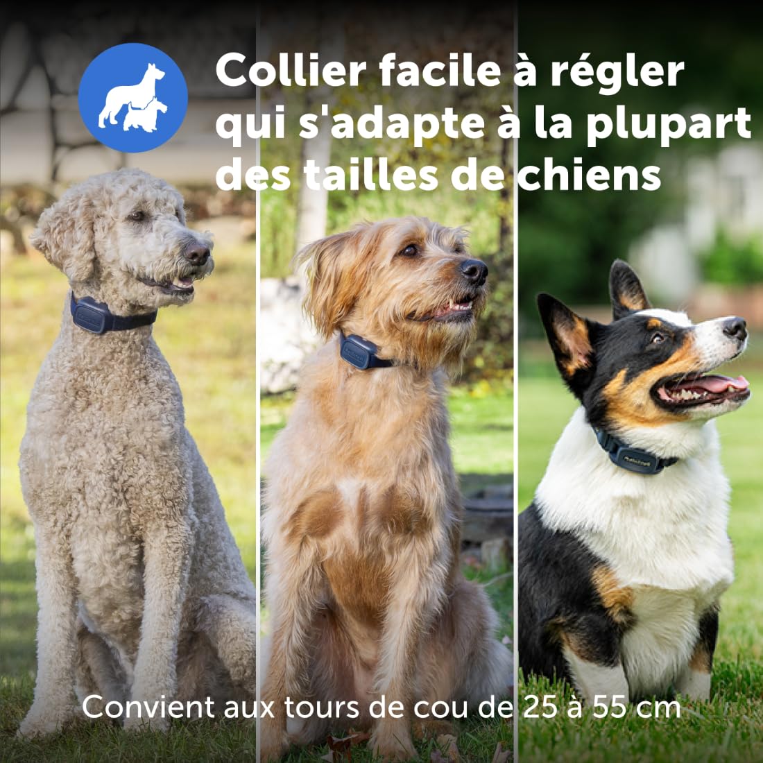 Dresseur de Chiens de Base PetSafe avec télécommande – Collier de Dressage étanche – 90 mètres de portée – Signal sonore, Vibration et 8 Niveaux de Stimulation Statique