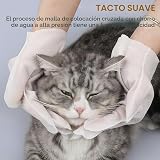 Ver la foto 3