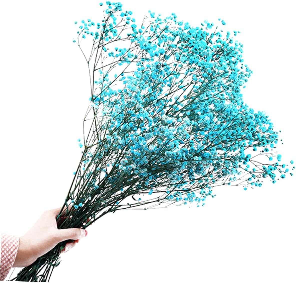 PRETYZOOM Romantic Preserved Christmas Gift Ideas Christmas Flower