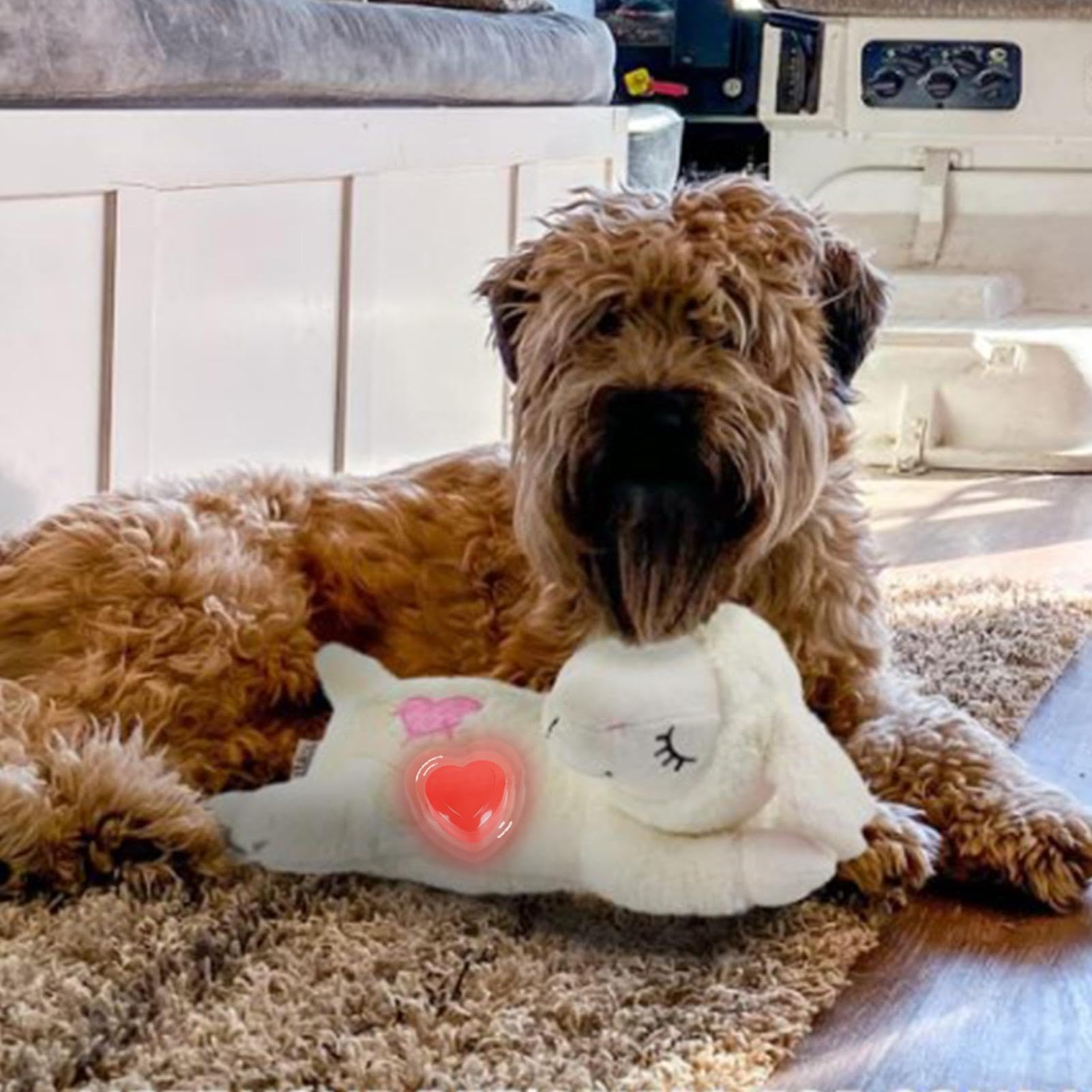 Giocattolo Cucciolo Con Battito Cardiaco - Anti Ansia Per Cani E Gatti - Foto 6