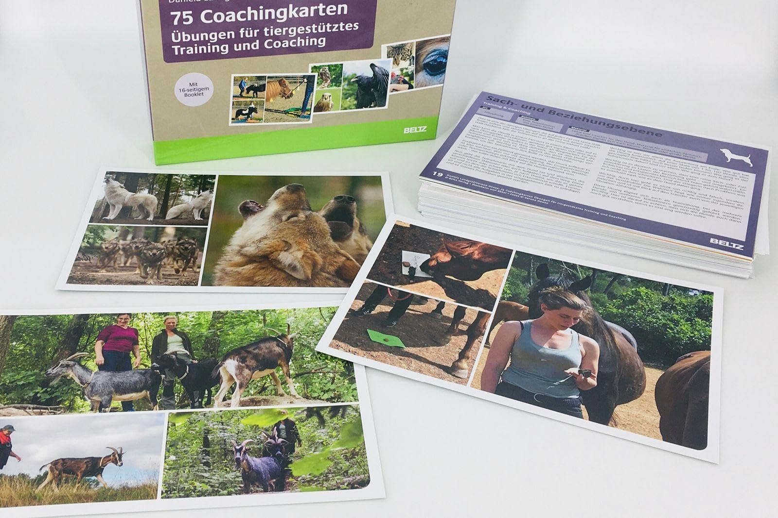 75 Coachingkarten Übungen für tiergestütztes Training und Coaching: Mit 16-seitigem Booklet