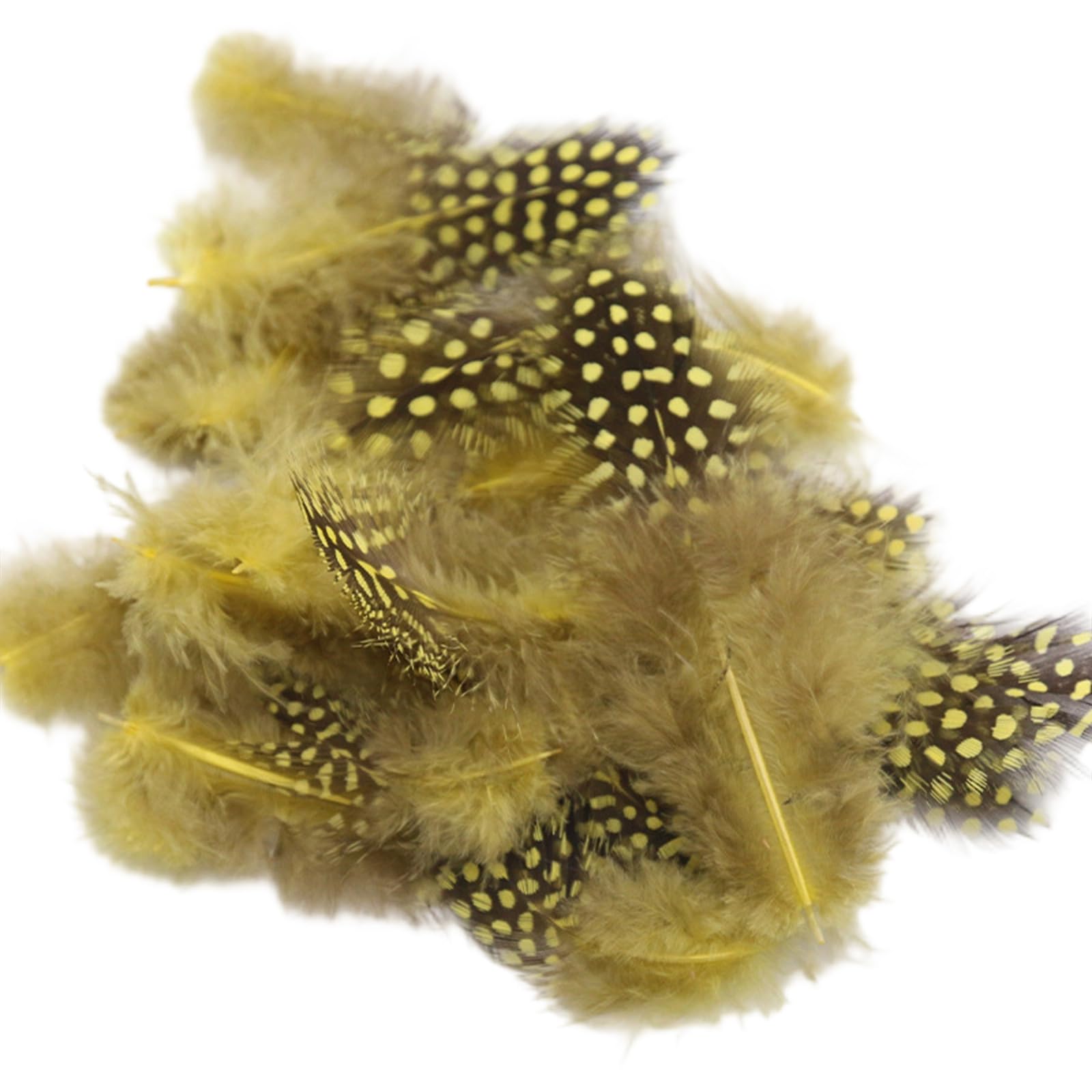 Limtula Of 100 Natural Plumage for Elegant Pearls Accent for Wedding Decorations and Accessories Stage Costume Quills