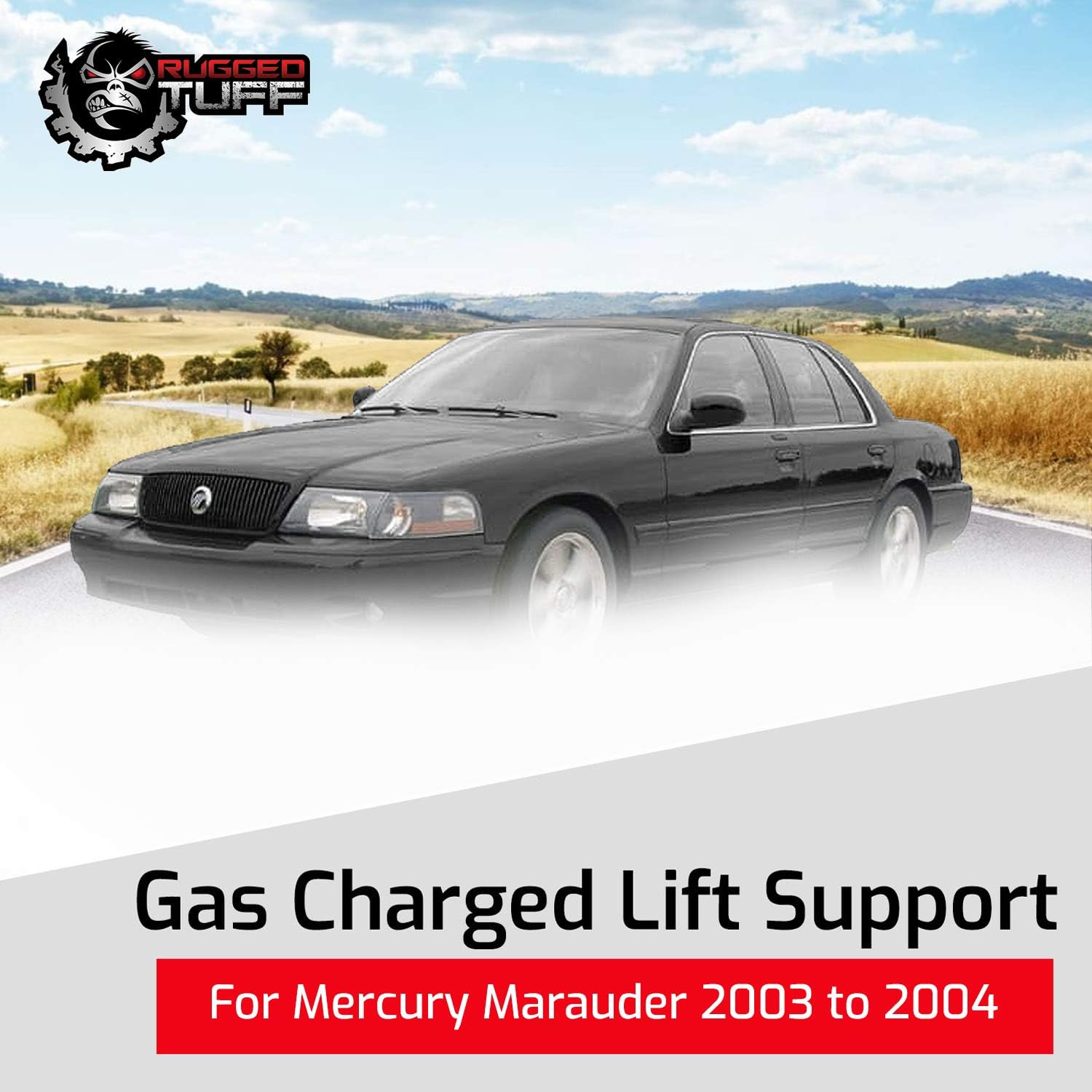 Front Hood Lift Support Shocks Struts for 1998-2011 Ford Crown Victoria, 1998-2011 Mercury Grand Marquis, 2003-2004 Mercury Marauder Engine Cover Bonnet Lifter PM3156 SG304024 4118 (2 Qty)