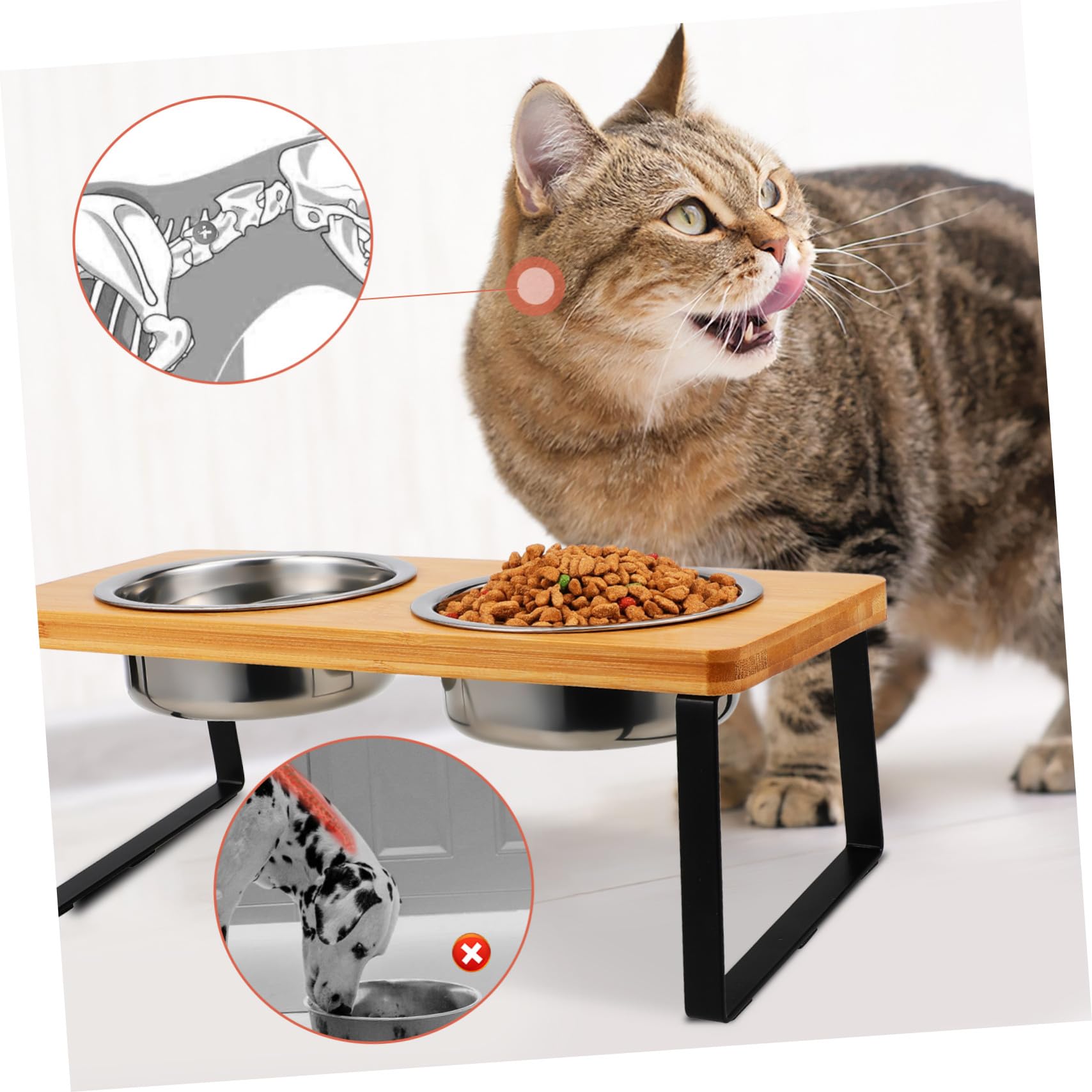 Ciotola per Gatti Rialzata con Doppie Vasche in Acciaio Inox | Supporto in Legno, Uso Indoor, Altezza Ergonomica, Adatta a Gatto e Cane Piccolo