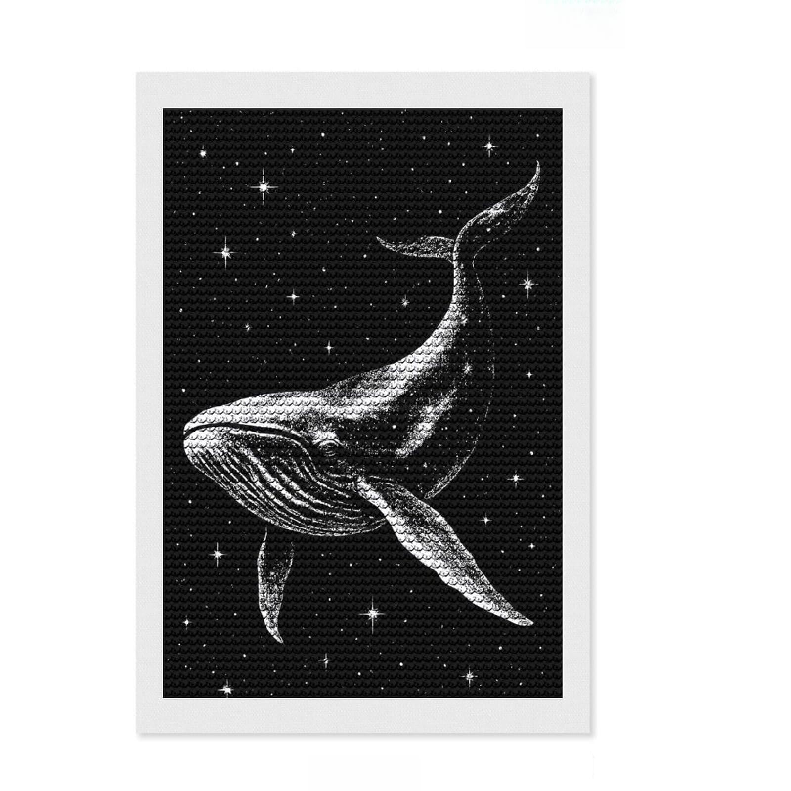 Junmoney Whale in Space Black and White Diamond Painting Canvas Set 8"x12", for Teens, Simple to Start, Farmhouse Decor, Thoughtful Handmade Gift