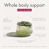 WelleCo The Super Elixir Daily Greens Powder، مزيج مشروب البروبيوتيك مع الأطعمة الكاملة، خالي من الغلوتين، مسحوق صحة الأمعاء النباتية، الطاقة، المناعة، البشرة الصحية، الشعر والأظافر (300 جرام، التوت المختلط)