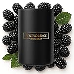 Benevolence LA Black Berries (Baies) Scented Candle | Soy Christmas Candles, Black Candle for Home | Holiday Candles Gifts for Women and Men | Home Fragrance | Aromatherapy | Bathroom Freshener | 10oz