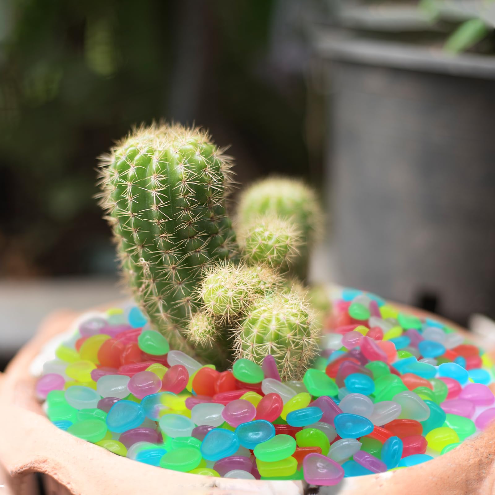 500 Pezzi Multicolori Che Si Illuminano al Buio Rocce Pietre Luminosi Sassi da Giardino, Ciottoli Luminosi, Ciottoli luminescenti, Pietre Fluorescent per Acquario, Giardino, Passerelle