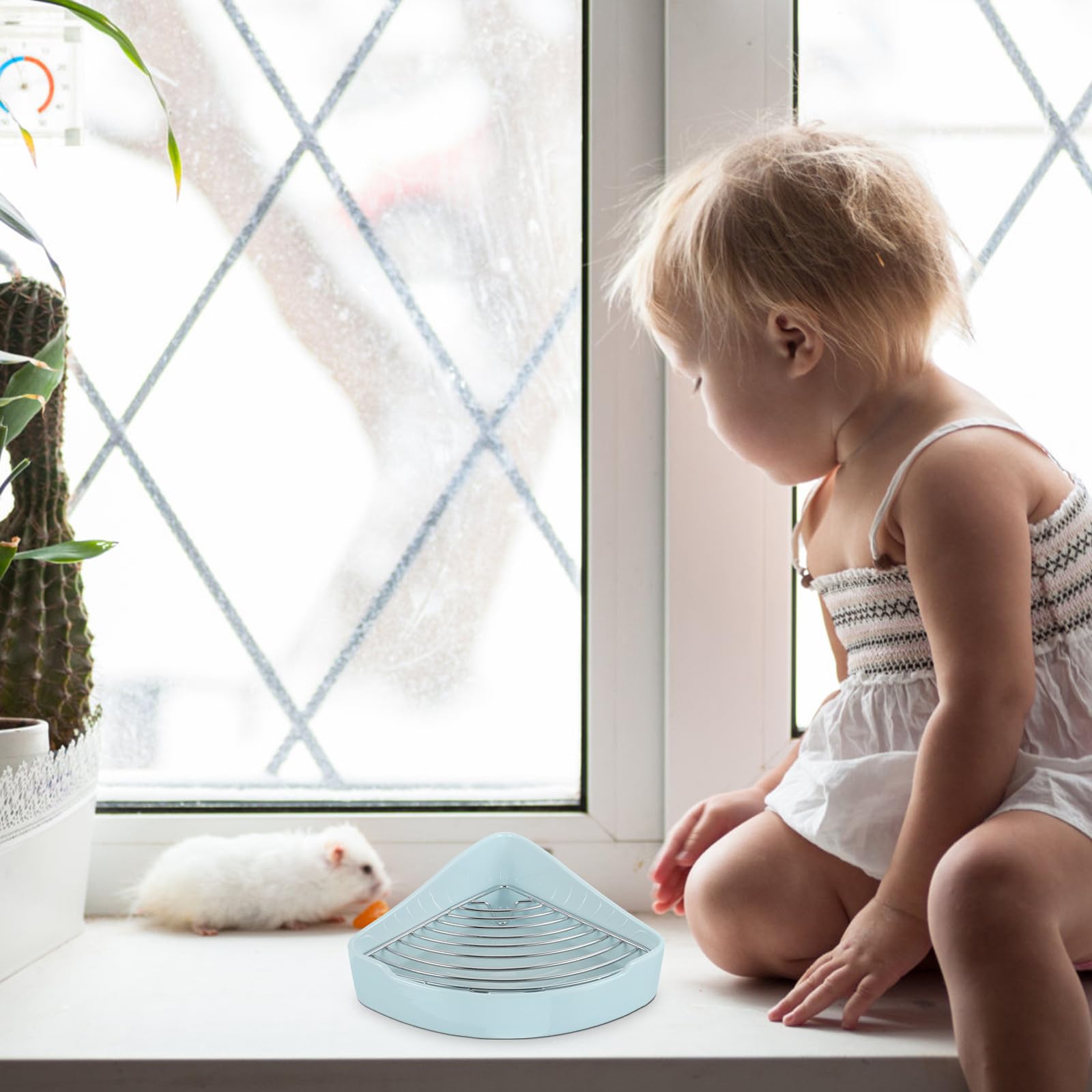 MAGICLULU Dreieckige Kleintier Toilette aus Keramik mit Abnehmbarer Matte und Kippsicherem Design für Kaninchen und Meerschweinchen in Küche