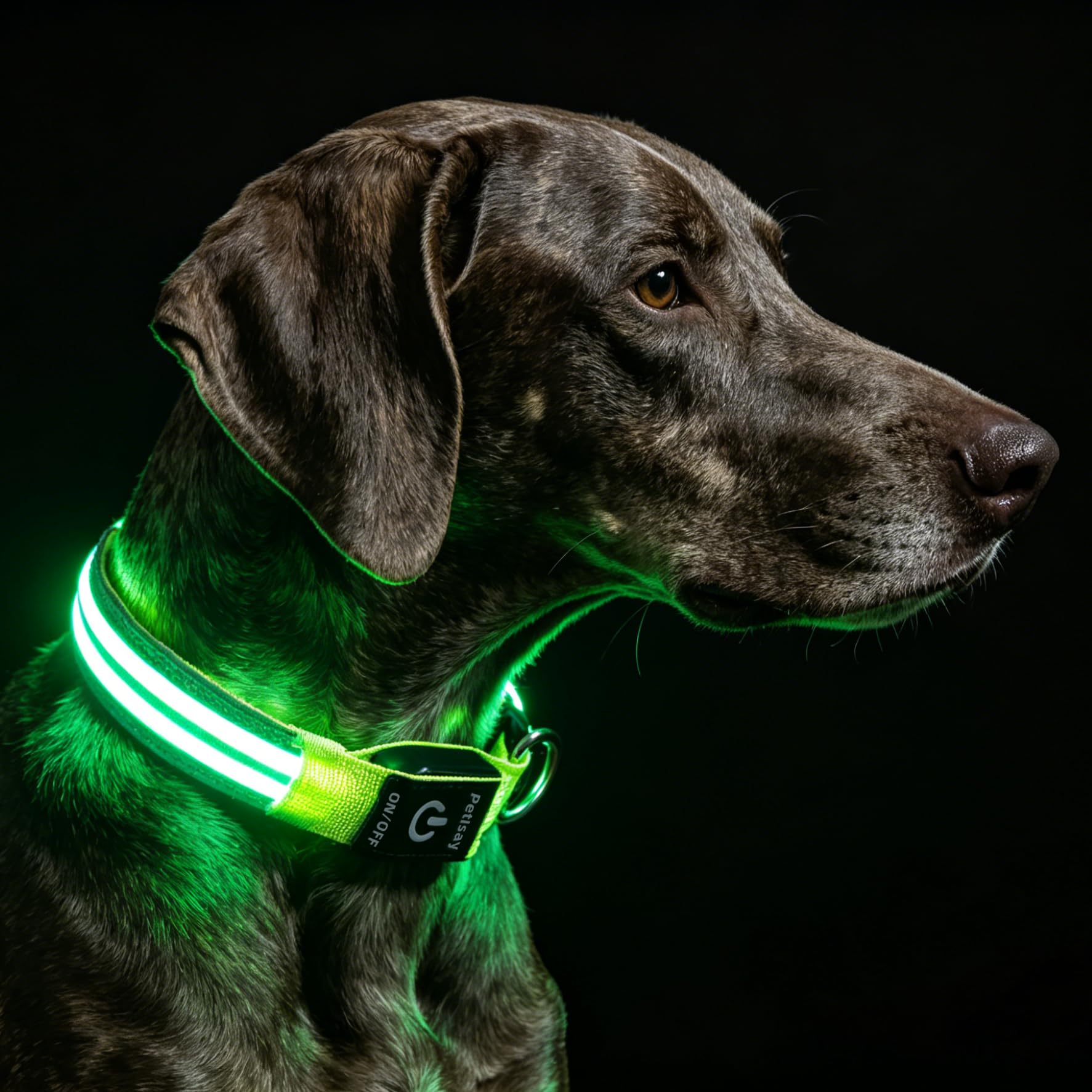 PetIsay Green Collar