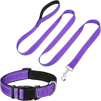Reflective 6FT Dog Leash and 14"-23" Dog Collar Set, Soft Padded Basic Collar and Padded Handle Leash for Large Dogs