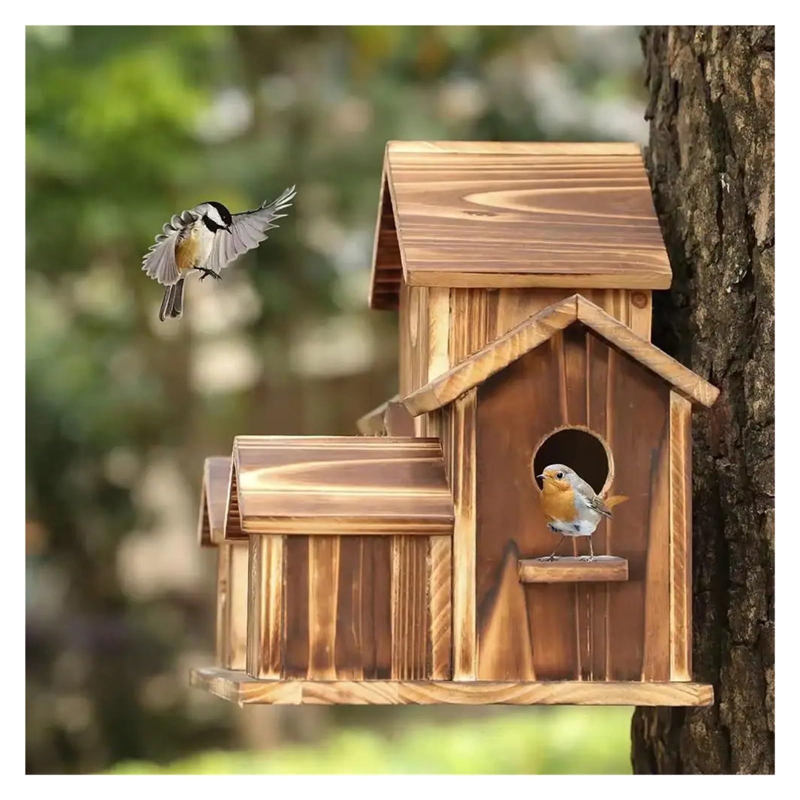 Nistkasten Vogelnest aus Holz for den Außenbereich, Vogelhütte, Kolibri-Haus for Zuhause, Basteln, Wildvogelnest, Garten, Vogelhaus-Dekoration