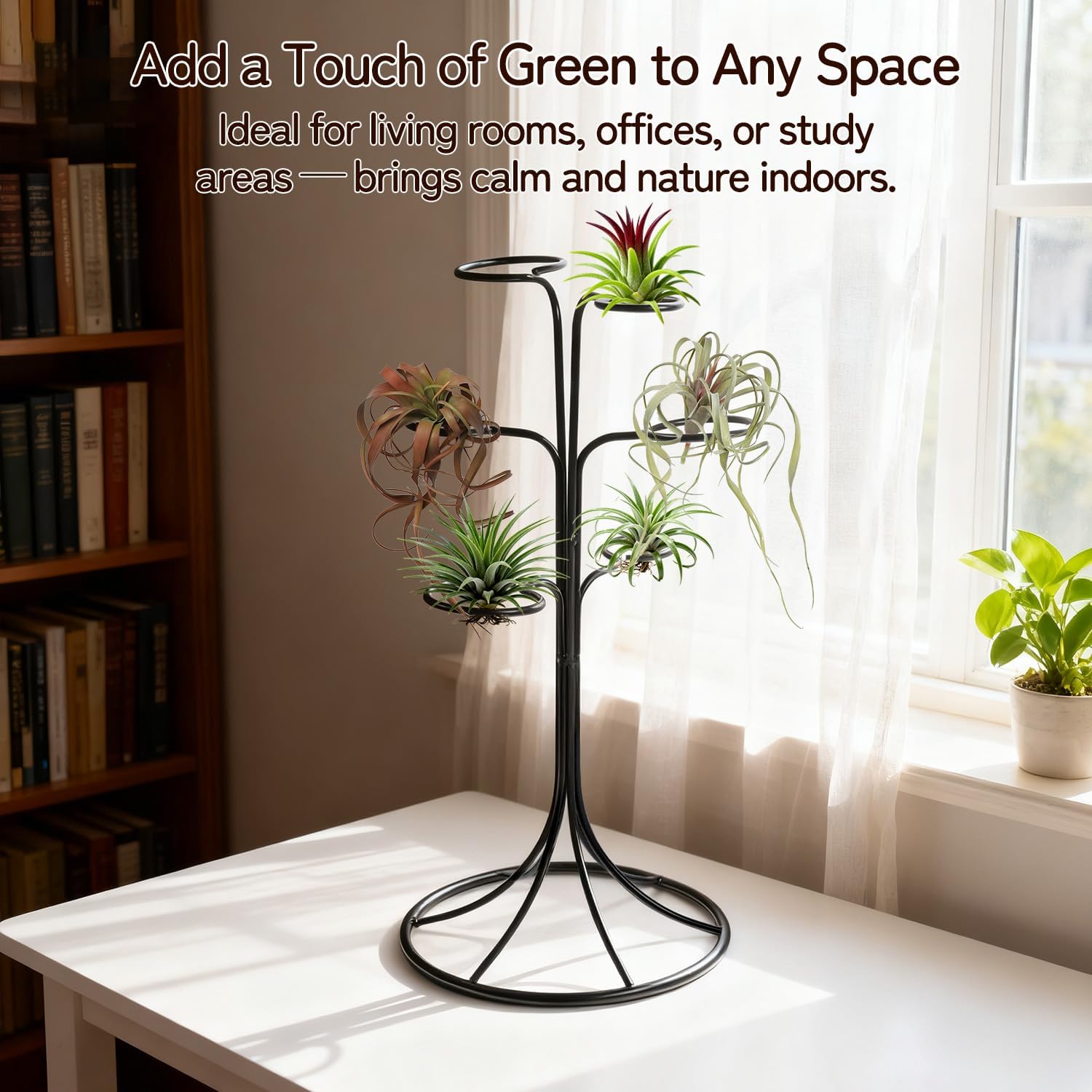 Air Plant Holder Iron Tree Stand Metal Air Plant Display with 6 Rings, Round Base Tillandsia Holder for Home Office Tabletop Decoration (Plants Not Included)