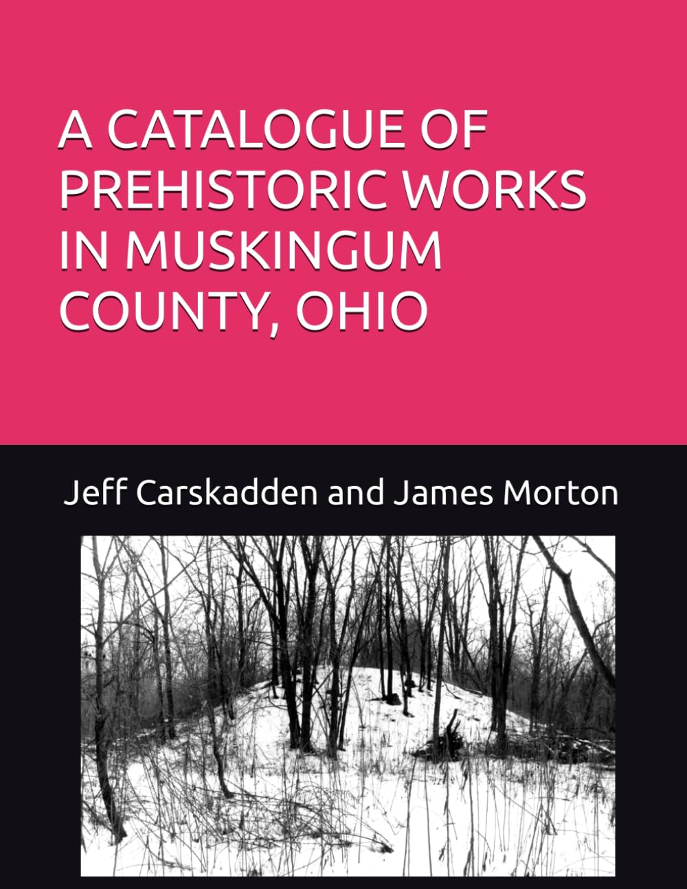 A CATALOGUE OF PREHISTORIC WORKS IN MUSKINGUM COUNTY, OHIO      Paperback – February 14, 2024