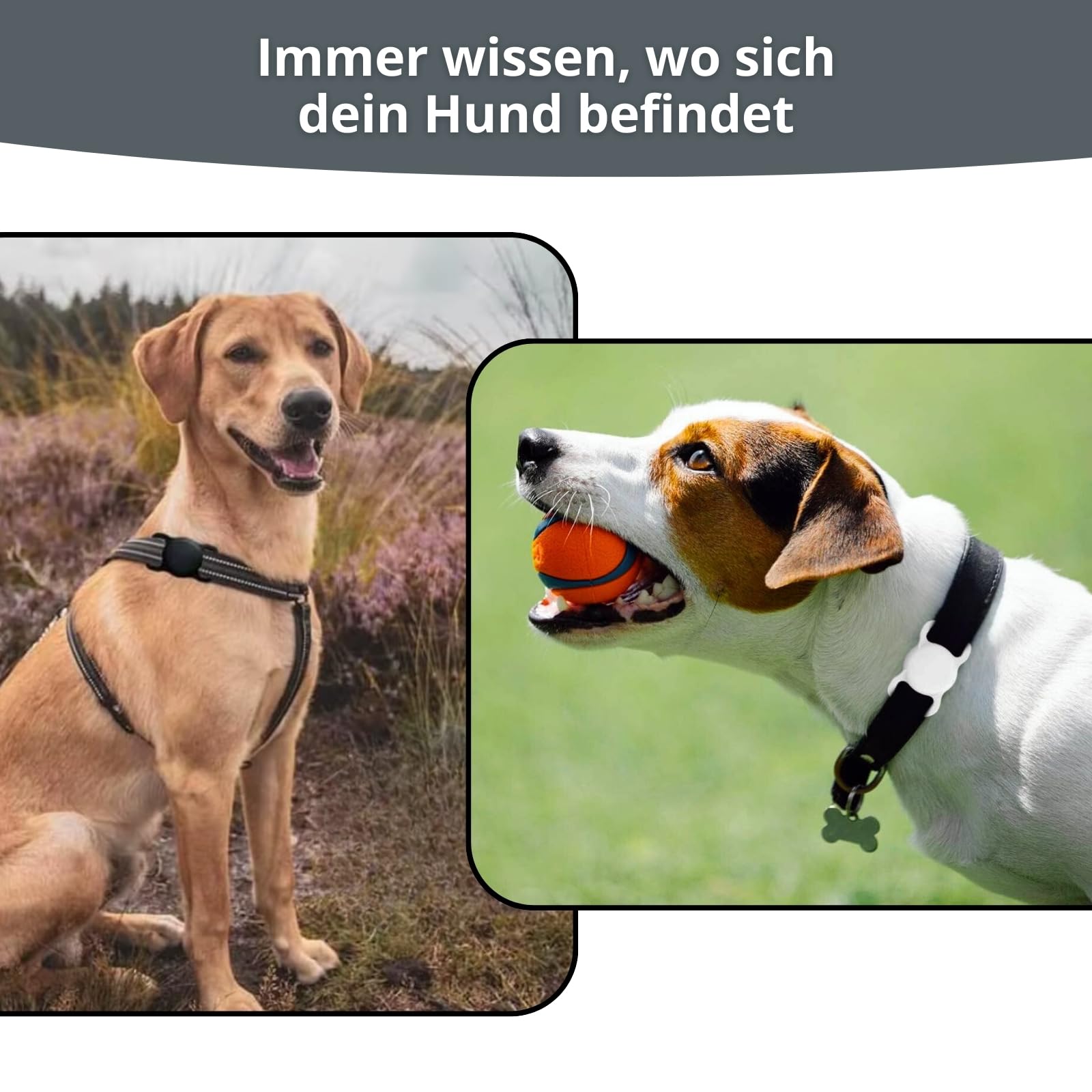 Hundehalsband Halter für AirTag - Hülle GPS Tracker für Haustiere - Silikon Anti-Lost Hund Katze Halsband Schutzhülle Airtags - Klein und Kompakt (Schwarz)
