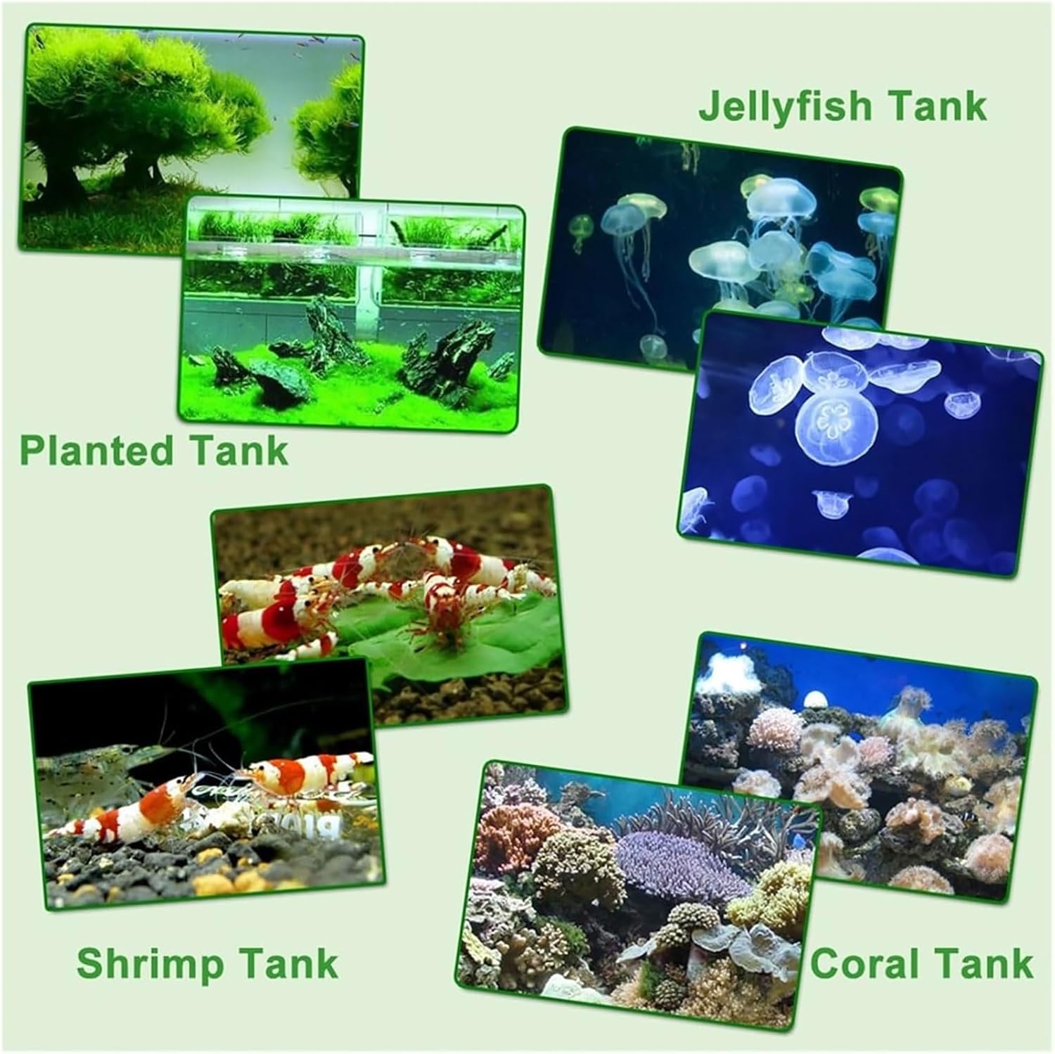 Electrinic Aquarium Chiller, Aquarium Water Cooler with LED Display Screen, Quick Heat Dissipation and Monitor Water Temperature in Real Time, Low Noise and Easy to Set, for Homes and Hotels