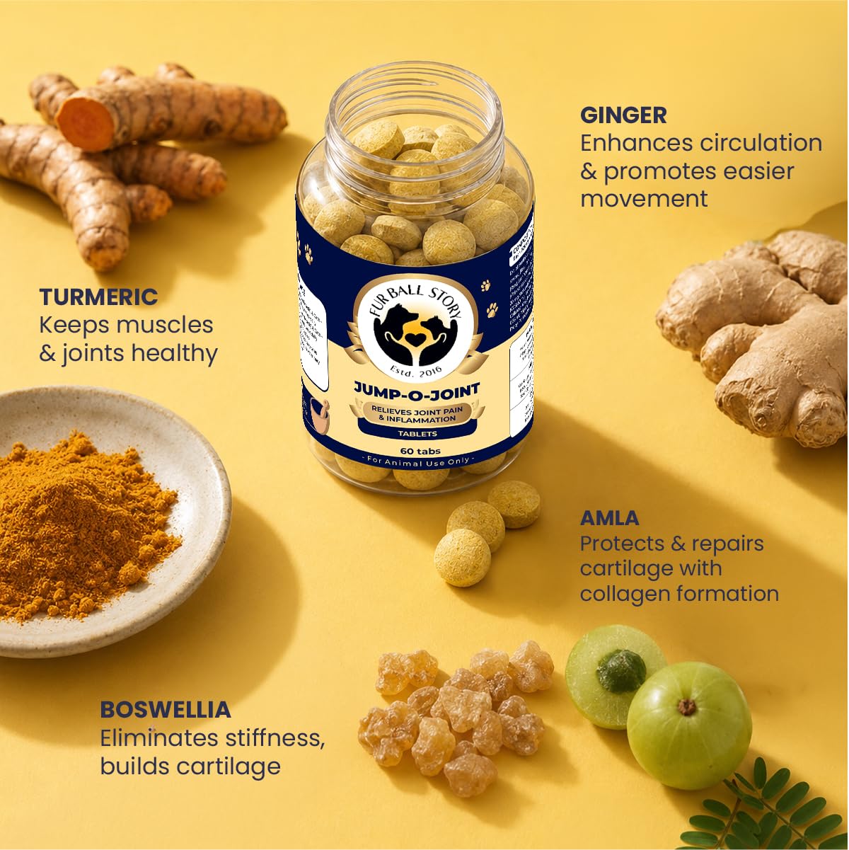 Fur Ball Story Jump-O-Joint Mobility Tablets for Dogs & Cats β 60 Tablets | Supports Joint Health & Flexibility | Promotes Cartilage Support | Daily Joint Supplement 3