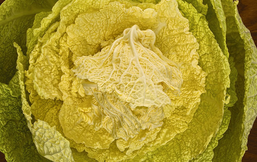 PHOTOGRAPHY OF MODERNIST CUISINE