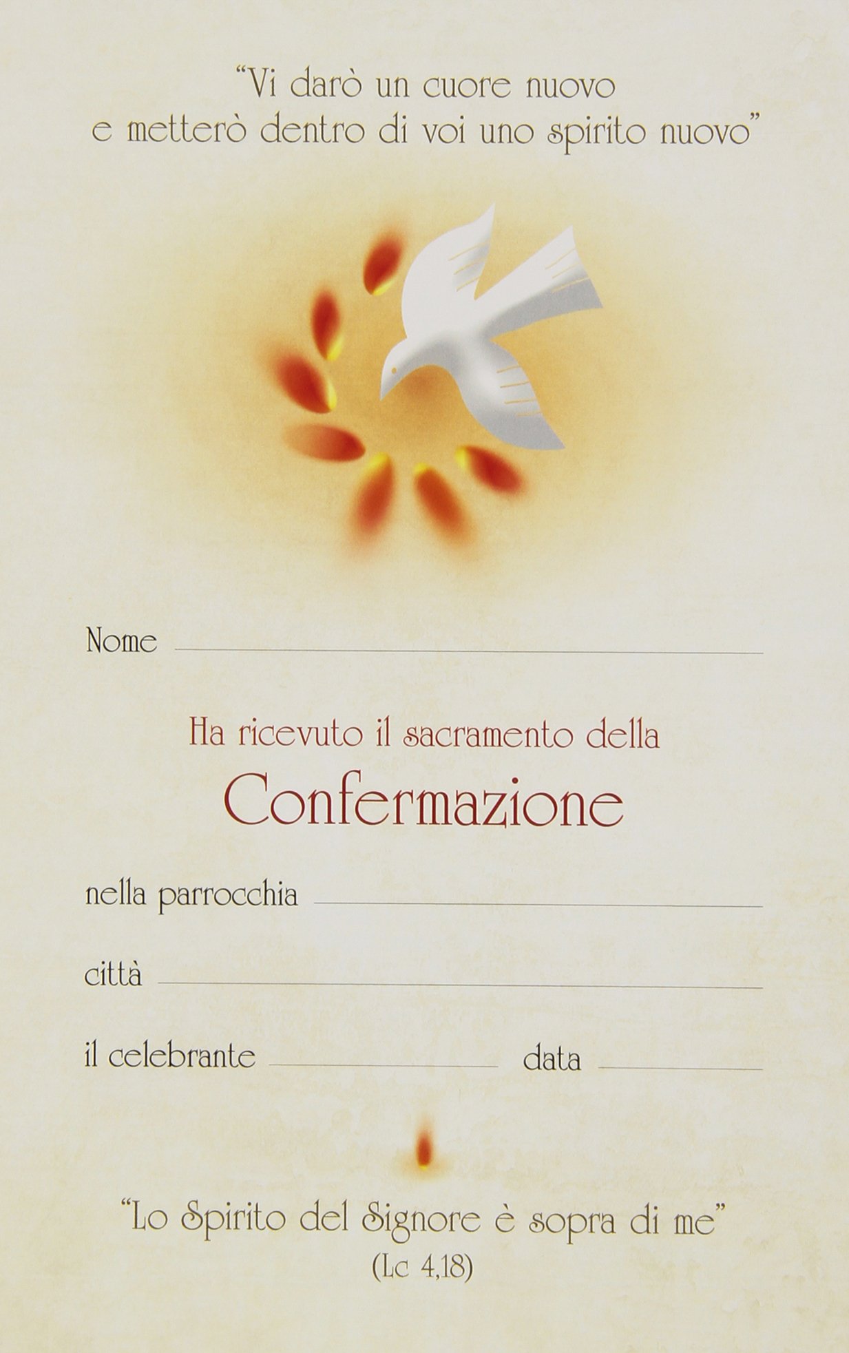 La Bibbia della cresima. Ediz. speciale