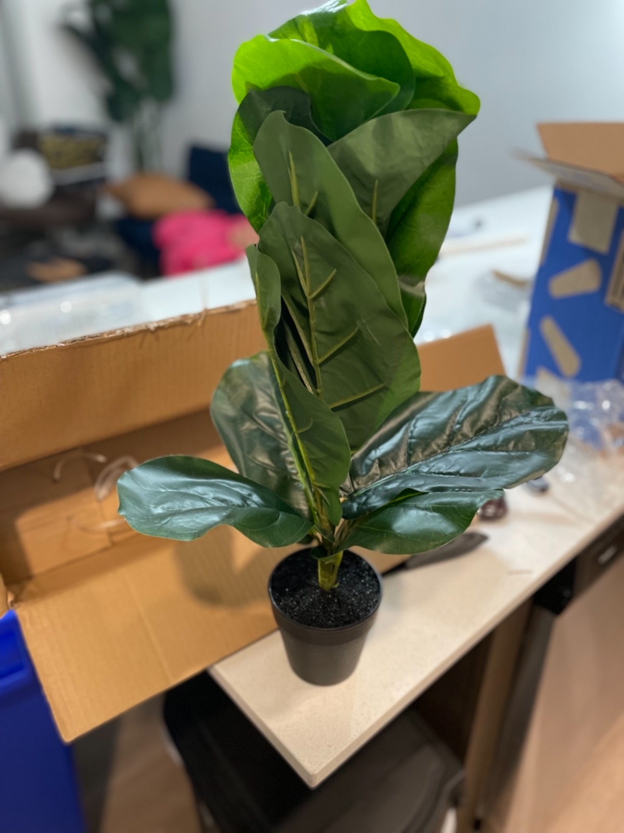13/mo Finance Artificial Fiddle Leaf Fig TreeFake Silk Plants 4