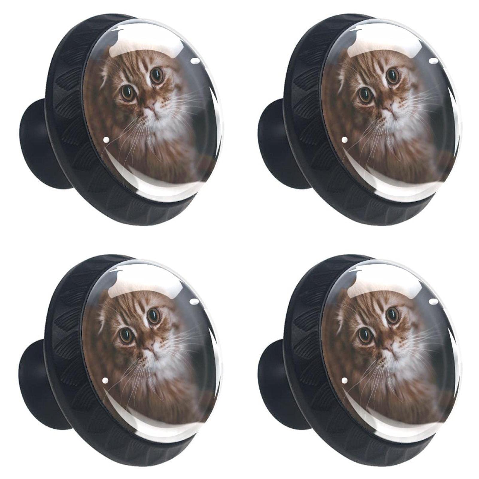 Boutons de meuble American Shorthair pour remplacer les poignées usées de placard