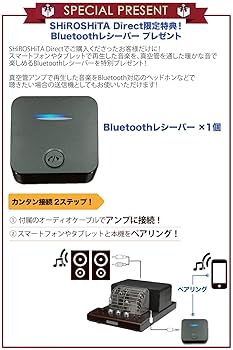 Amazon.co.jp: SOUNDWARRIOR 日本製 真空管アンプ ＆ パッシブ