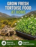Ver la foto 7