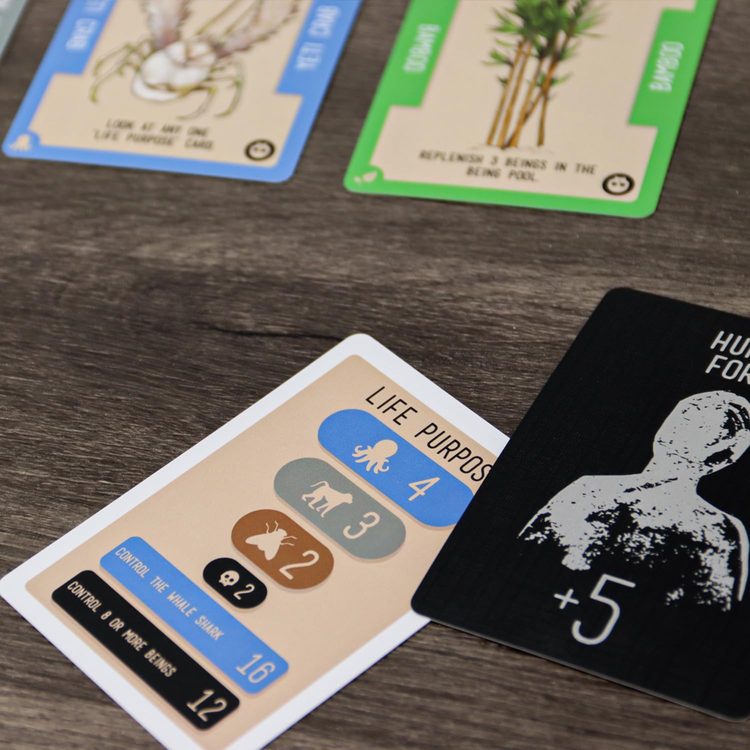 Cenyo Reincardnated by Doolittle Gaming - A Turn-Based Deck Drafting Card Game - Strategy Party Game for 2-6 Players on Family Game Night