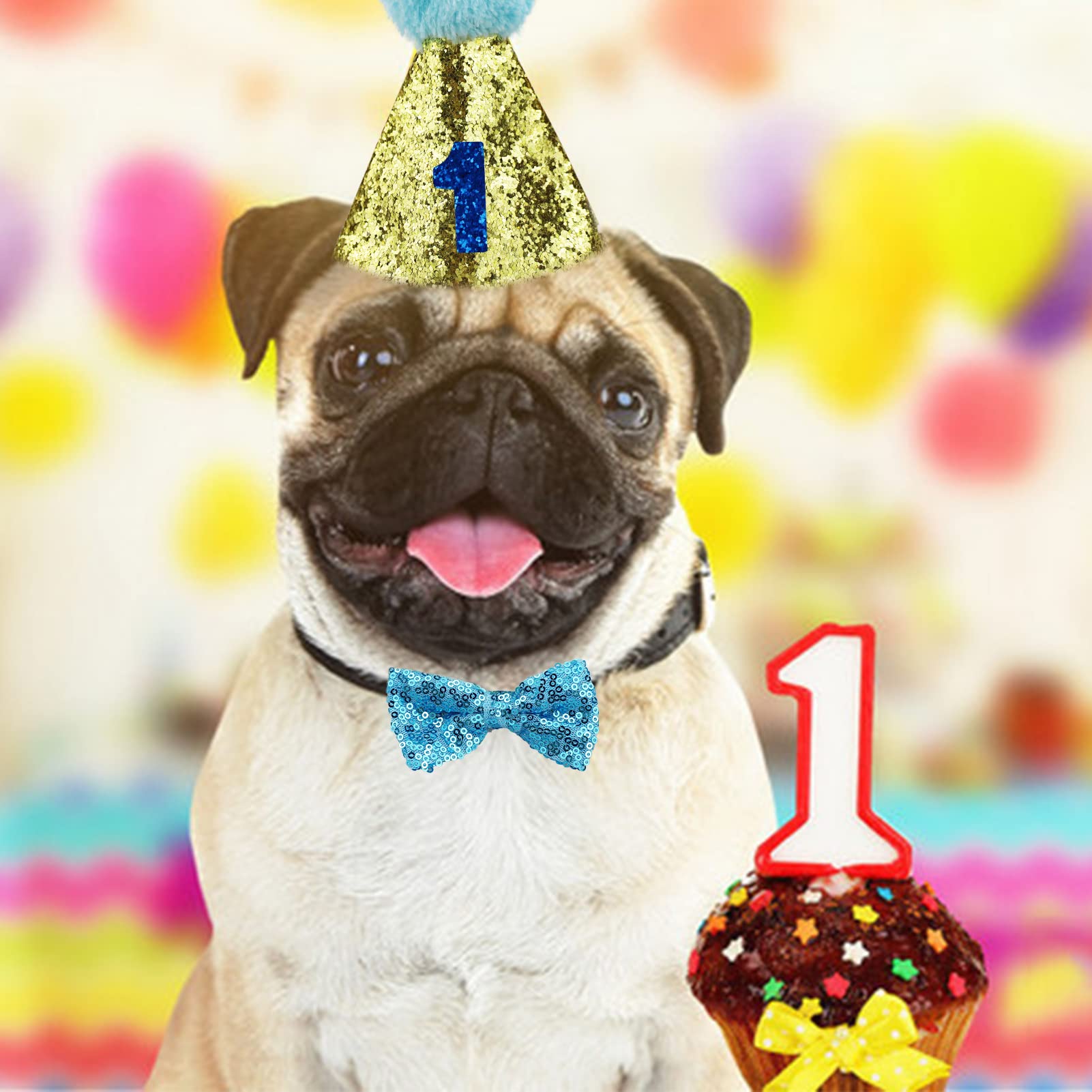 Set Compleanno Per Cani E Gatti | 13 Pezzi Con Corona, Gonna E Papillon Regolabile - Foto 3