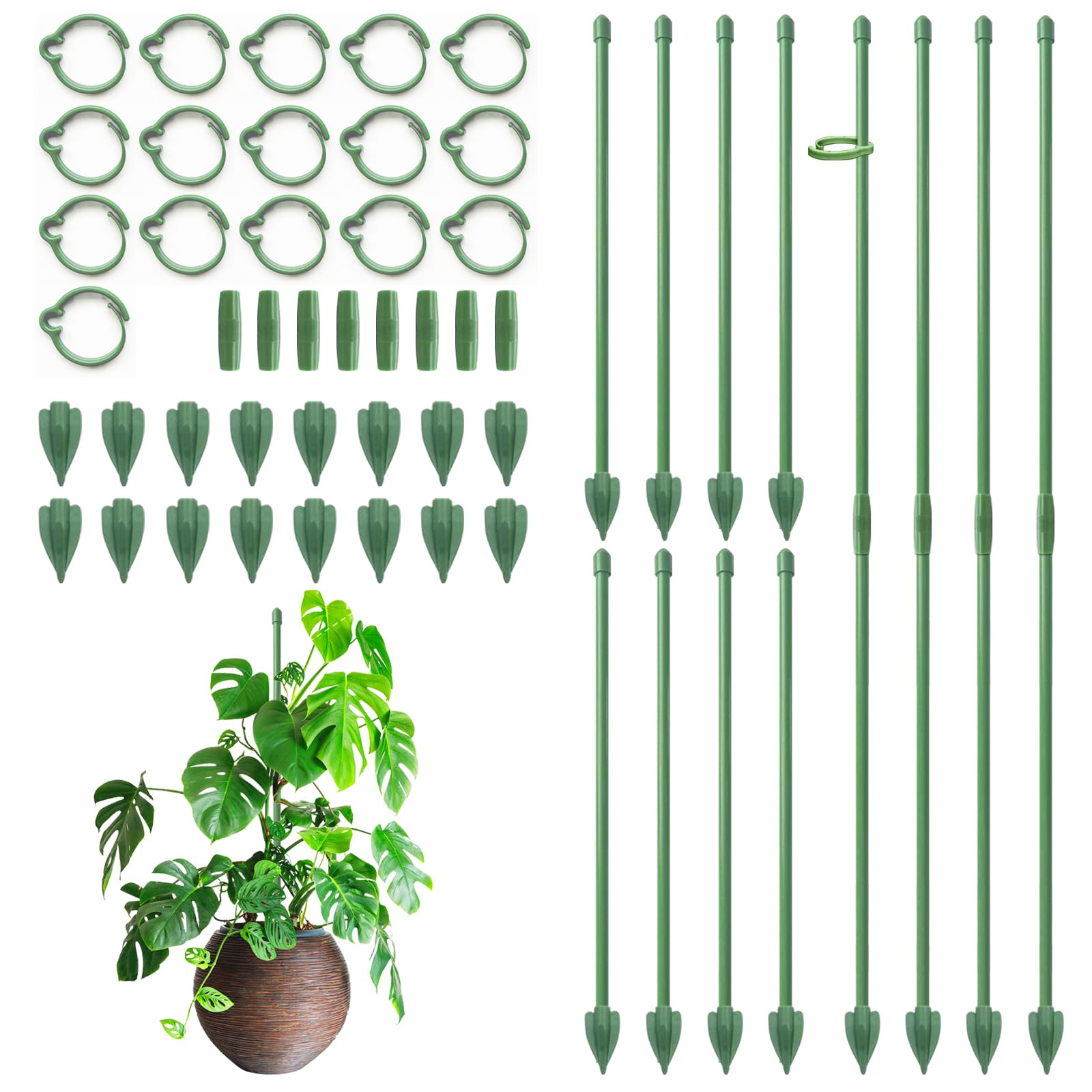 RIFNY Plant Supports for Indoor Plants, 30cm Plant Stakes Support Sticks with Clips, Adjustable Monstera Support for Orchid Rose Flower (16 PCS, Green)