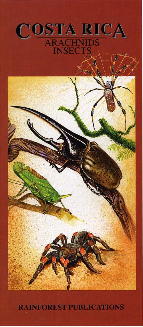 Costa Rica: Arachnids Insects