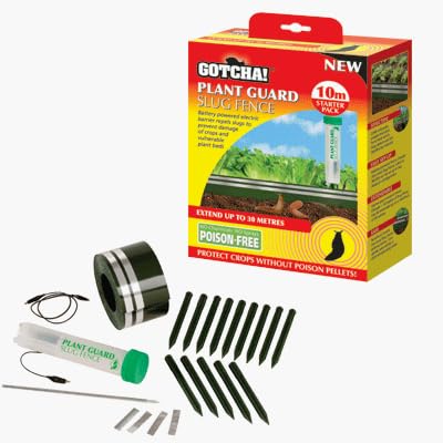 Slug Guard Plant Guard Slug Defence : Amazon.co.uk: Garden