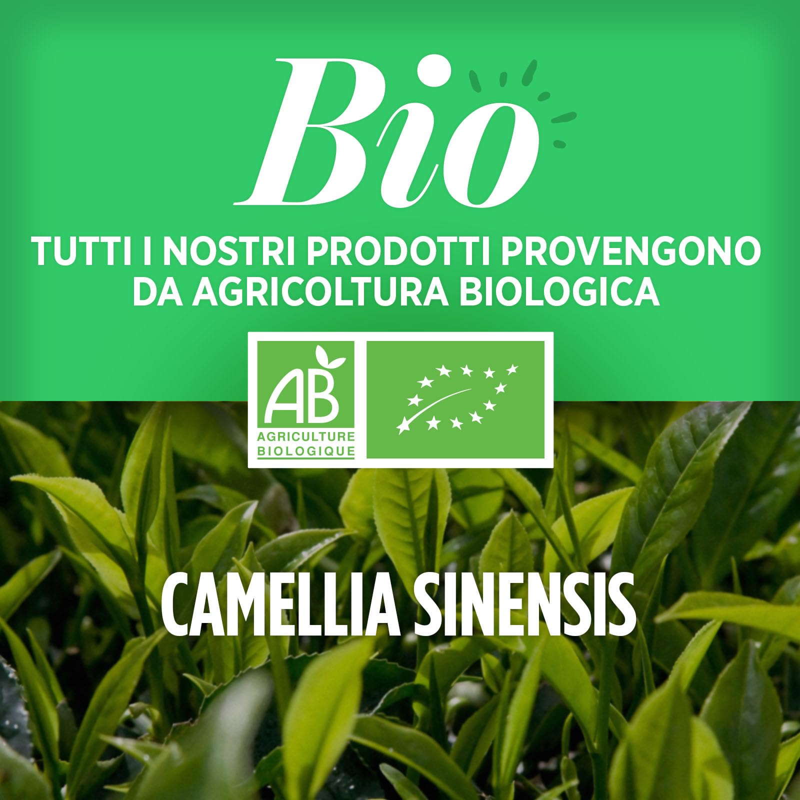 Tè Verde Bio - 400 mg - 200 Compresse