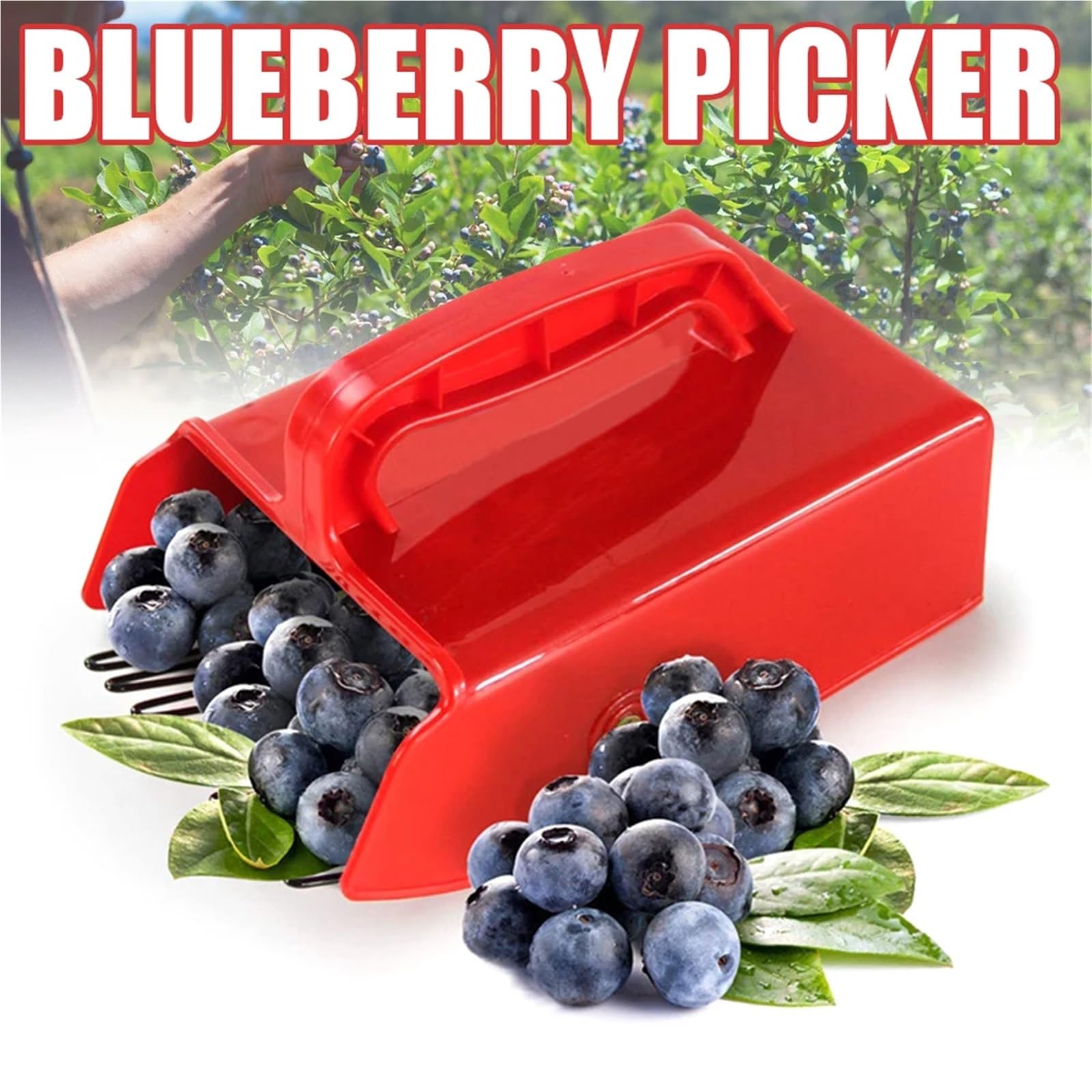 Apfelpflücker Tragbarer Beerenpflücker, Blaubeersammlung, praktisches Griff-Pflückwerkzeug, Obsterntemaschine(3pcs)