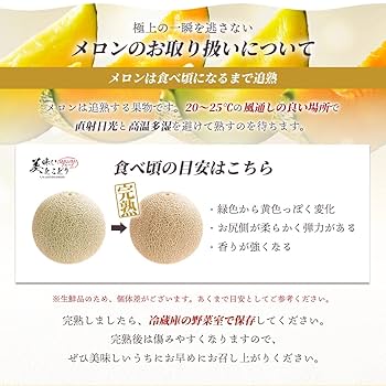 Amazon.co.jp: メロンセット 完熟 高級 徳秀A ※野菜ソムリエ監修