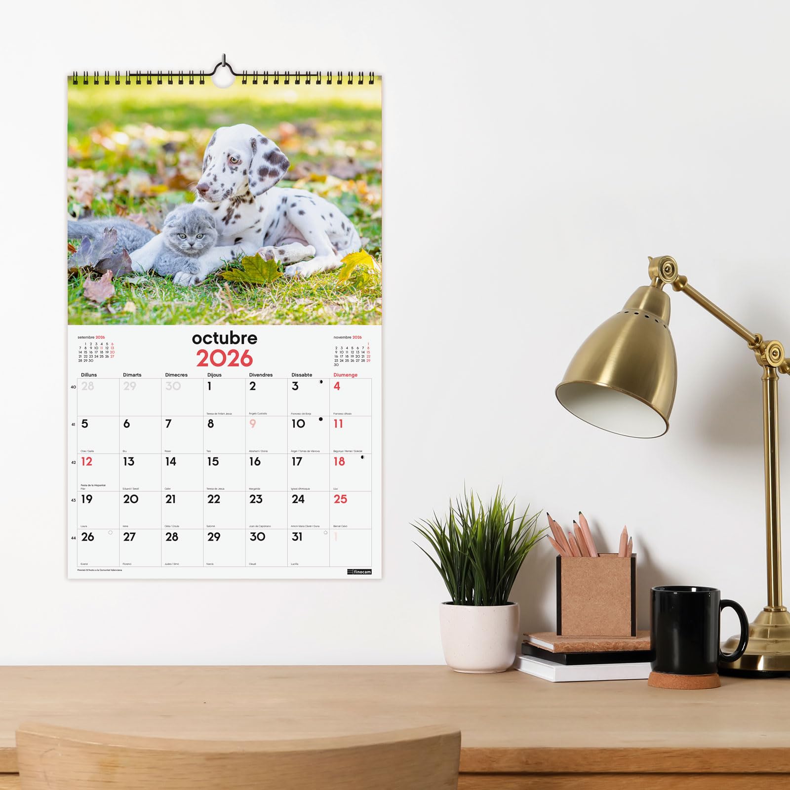 Calendrier De Bureau 2026 Catalan Avec Photos Chiens Et Chats - Vue Mois, Spirale Métal, Janv-Déc 2026 + 4 Mois 2025 - 14