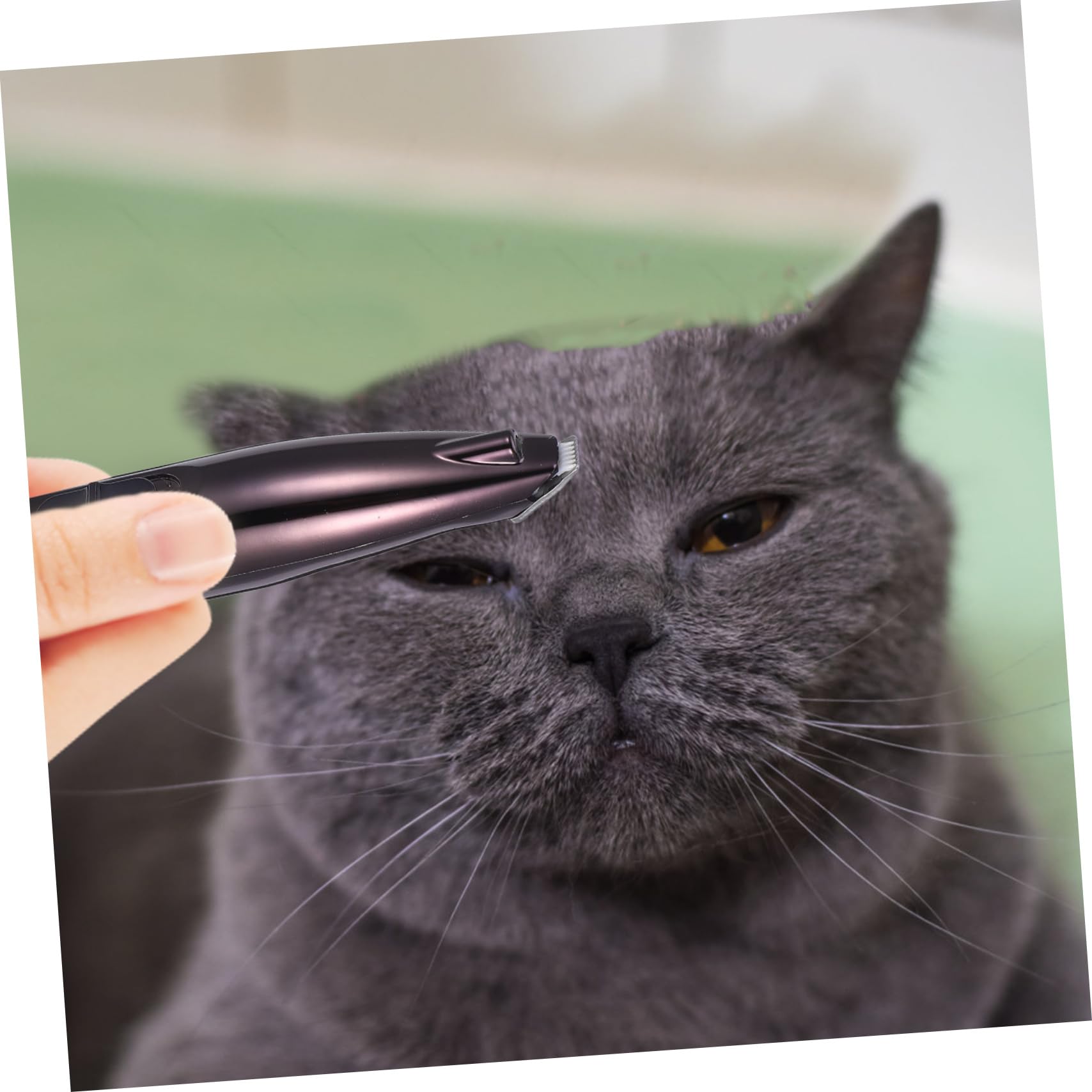 Tagliacapelli Elettrico per Peli Zampe Cane e Gatto, Nero