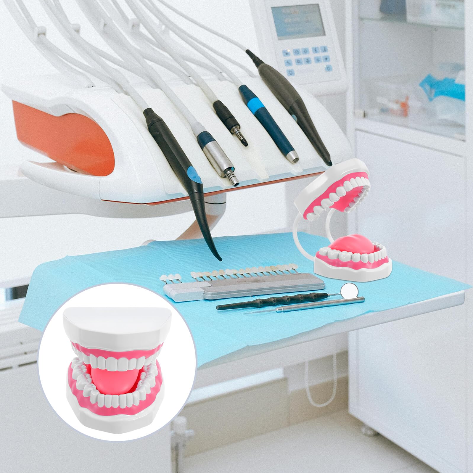 Ipetboom Modello Adulto Ingrandito in Plastica Bianca per Igiene Orale Kit Educativo per Insegnamento Spazzolatura e Pulizia Struttura Realistica con Radici per Formazione Professionale
