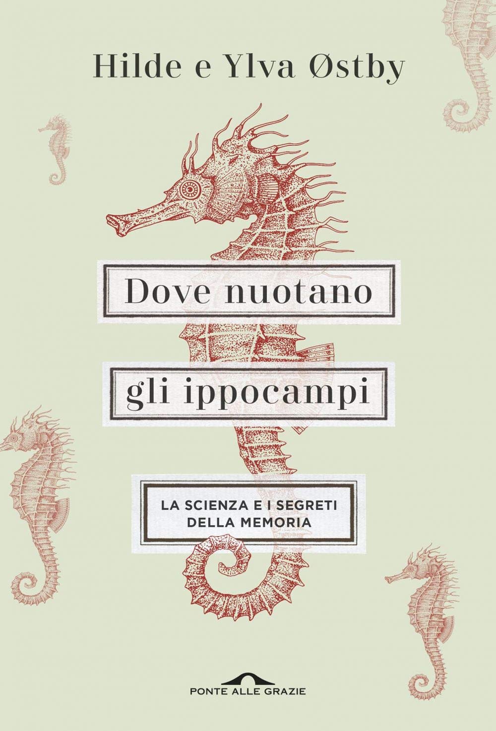 Dove Nuotano Gli Ippocampi. La Scienza E I Segreti Della Memoria - 4