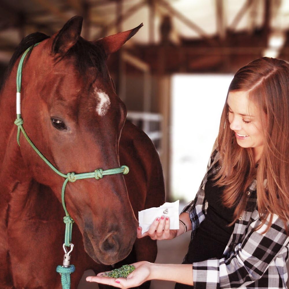 Formula 707 Joint 6in1 + Daily Essentials Combo Fresh Packs Equine Supplement, 28 Day Supply: Green-Lipped Mussel, Glucosamine, Chondroitin, Collagen, Bromelain & MSM + Complete Vitamins